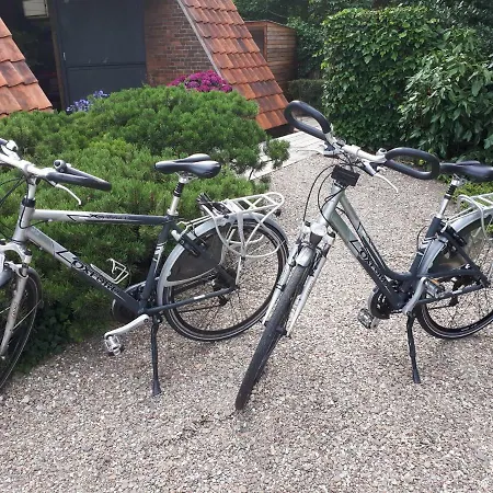 Veado 4* Turnhout
